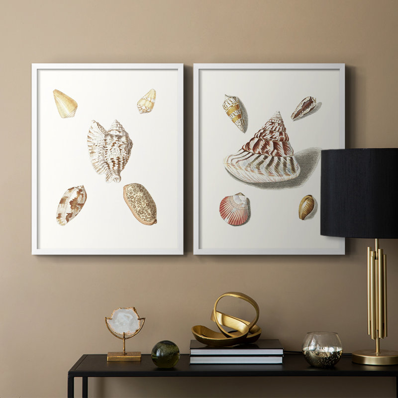 Pastel Knorr Shells VI - reproduction encadrée de qualité supérieure - prête à être accrochée - aucun clou requis - aucun clou requis