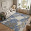 Tapis abstrait lavable à la machine intérieur / extérieur ACN3017-1561555828-1561555851
