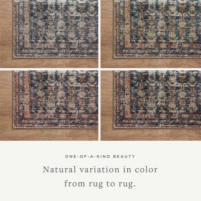 Billie Ocean and Brick Distressed Runner Rug, 2'-0" x 5'-0"