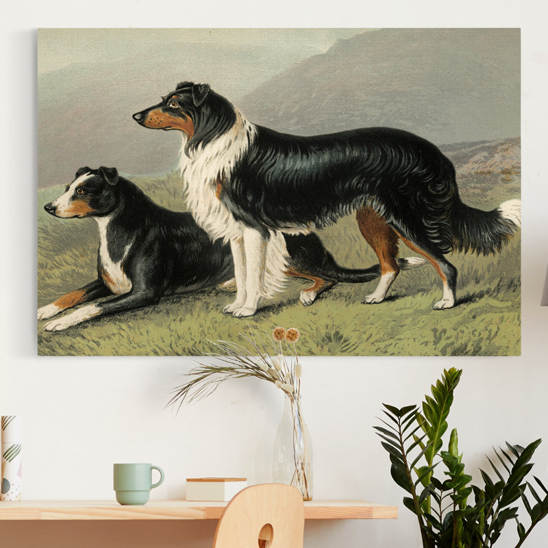 « Sheep dogs »-impression sur toile, H 8 po x l 12 po x P 1 po