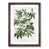 Walnut Framed selected