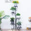 Support pour plante Sorenson