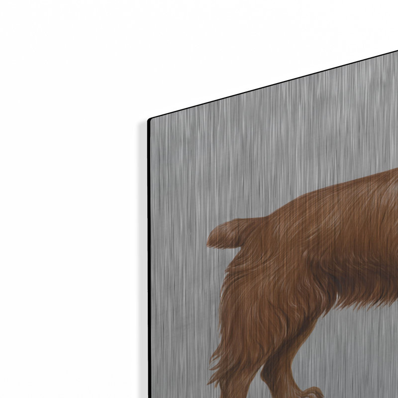 «Cocker Spaniel» par Harro Maass, H 12 po x l 16 po