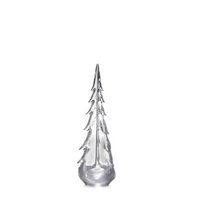 Silver Leaf Evergreen