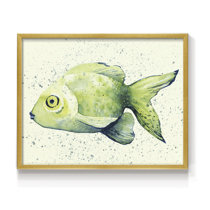 Speckled Freshwater Fish I -Framed Print - Restickable, 16" H x 20" W