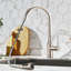 Robinet de cuisine SUNRINX-94553824