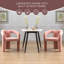 Ensemble de 2 fauteuils d'appoint / de salle à manger / de barils en tissu de velours de conception contemporaine (velours rose)-282699860