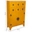 Apothecary Rectangle Accent Cabinet