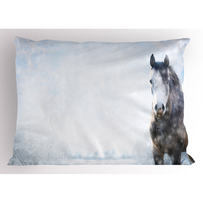 Ensemble de 2 taies décoratives Ambesonne Winter, L 30 po x H 20 po