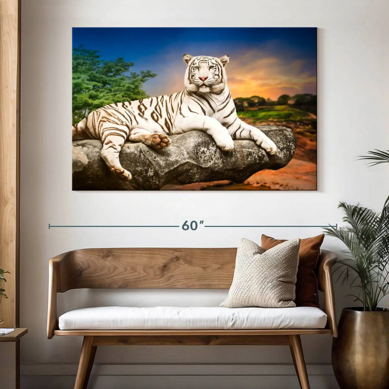 Brampt White Bengal Tiger, 34" H x 51" W