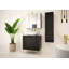 Rigdel Washbasin Cabinet 80-1104616111
