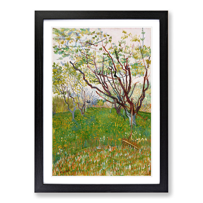The Flowering Orchard by Vincent Van Gogh - Picture Frame Painting, Black, 48cm H x 36cm W x 2cm D
