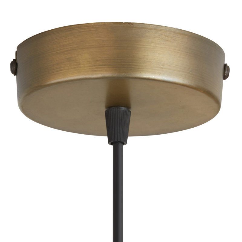Luminaire suspendu en métal à 1 lumière l 10 po Litonya