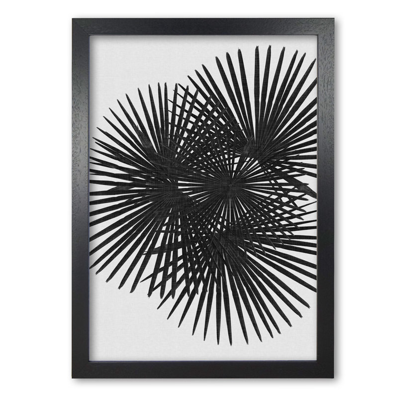 Fan Palm - Print on Canvas, 42 cm H x 30 cm W x 5 cm D, Black Grain Frame