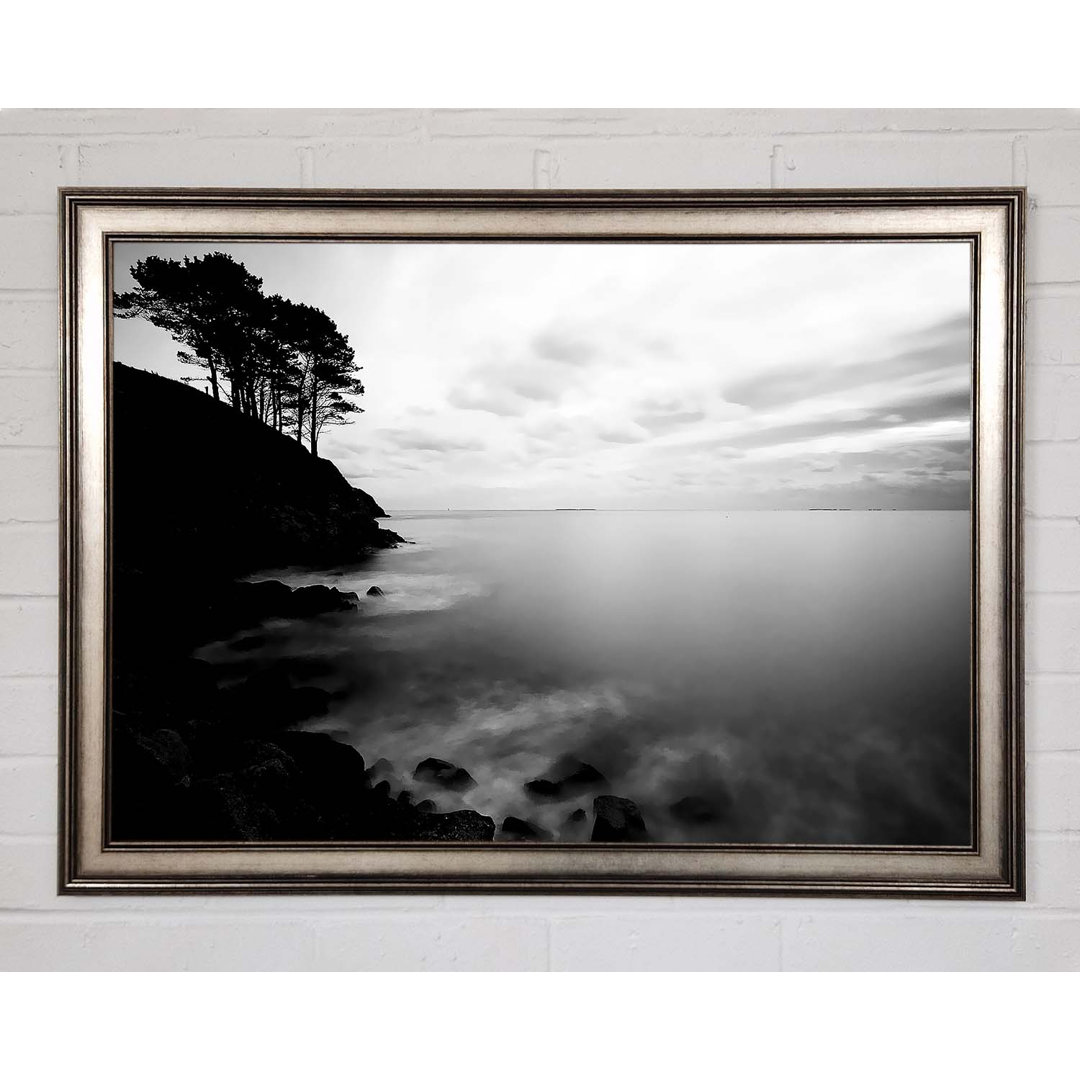 Gerahmtes Leinwandbild Tree Top Ocean Calm B N W