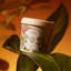 Frangipani Candle