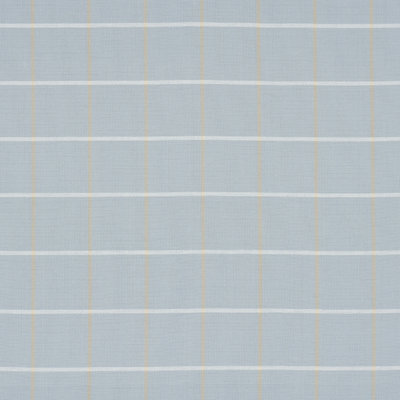 Schumacher x Mark D. Sikes Frannie Windowpane Fabric