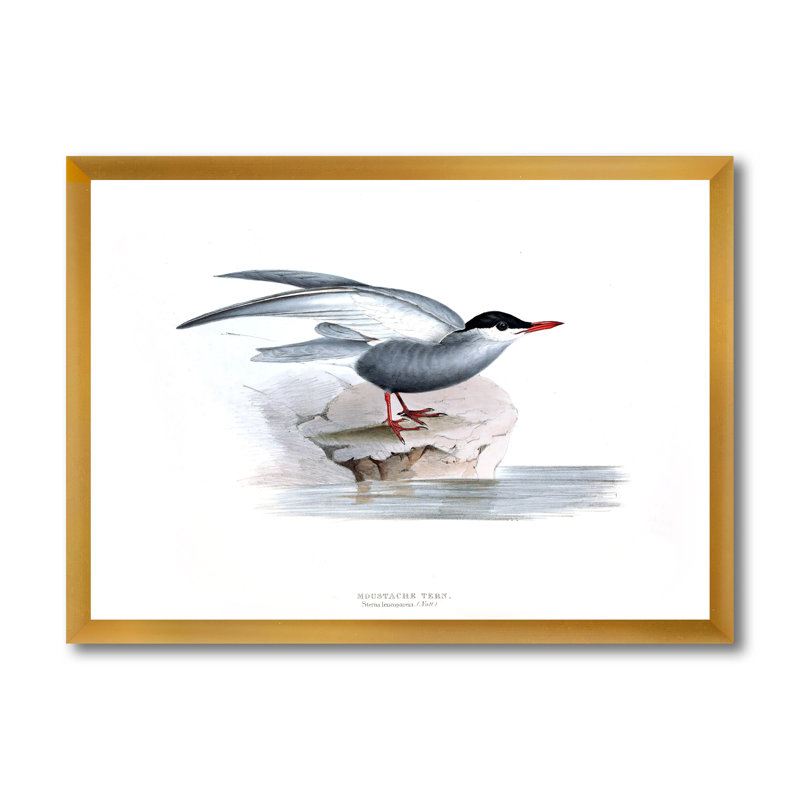 Oiseau rétro de l'Europe I - peinture sur toile, H 12 po x l 20 po x p 1 po, Cadre doré