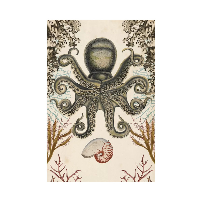 Antiquarian Menagerie: Octopus by Naomi McCavitt - Wrapped Canvas Gallery-Wrapped Canvas Giclée, 20.32 cm H x 30.48 cm W