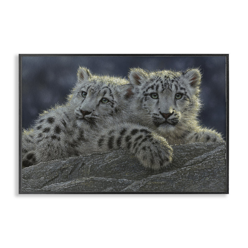Snow Leopard Cuddle Framed Giclee, design by Collin Bogle, 12" H x 18" W, Midnight Black Framed Giclee