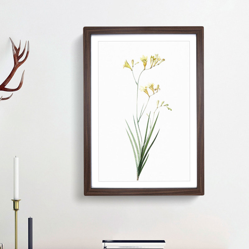 Freesia Flowers by Pierre-Joseph Redoute - Picture Frame Painting Print, Walnut Framed, 65cm H x 48cm W x 2cm D