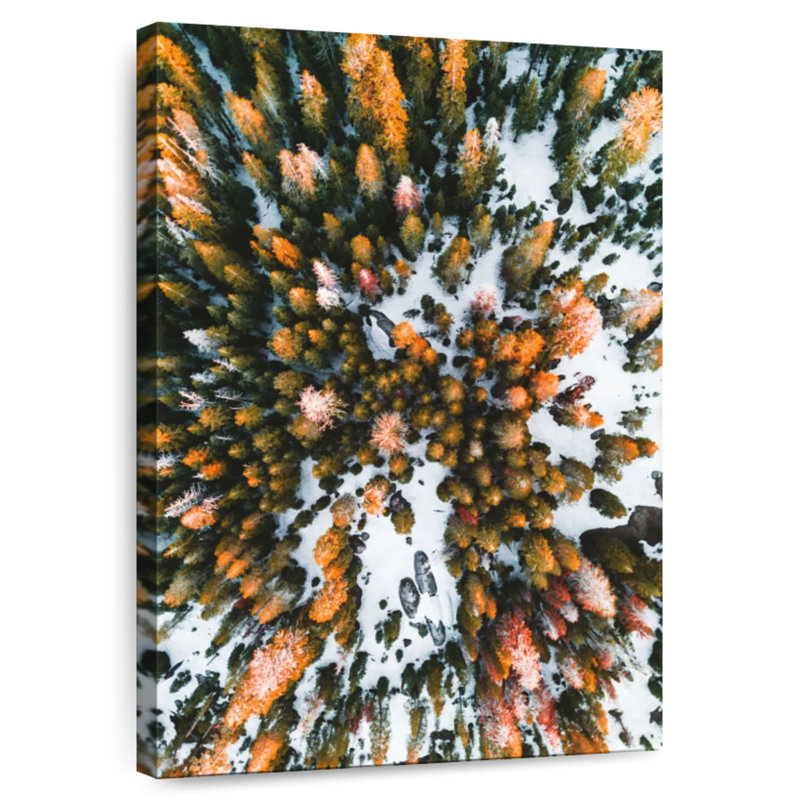 Forêt de pins d'Alvord au crépuscule, H 45 po x l 30 po