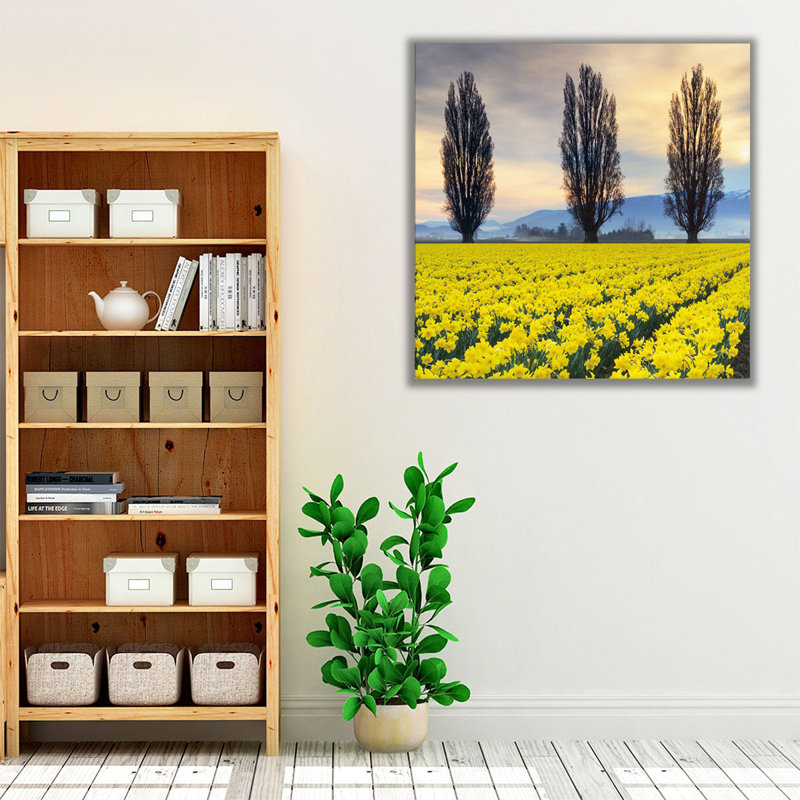 «Skagit Valley Daffodils II», reproduction d'art sur toile, H 20 po x l 20 po