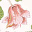 Papier peint Josephine-55967385