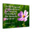 Walk Circumspectly Ephesians 5:15-16 - Wrapped Canvas Print