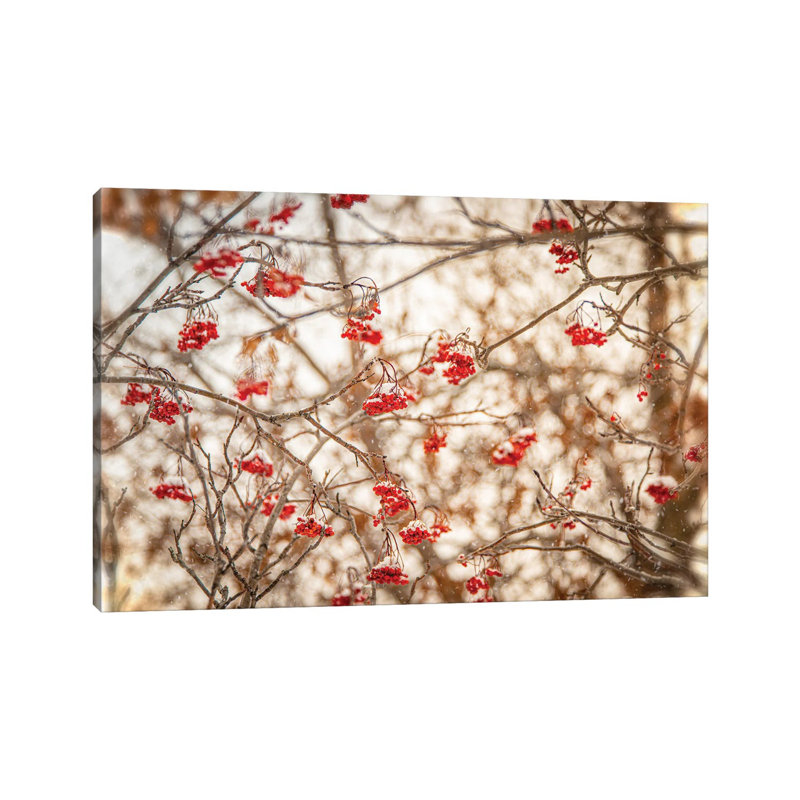 Rowan At The Winter by Nik Rave - Wrapped Canvas Gallery-Wrapped Canvas Giclée, 152.5 cm H x 101.5 cm W