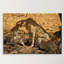 Print on Canvas-25158348