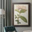 Toile encadrée de qualité supérieure Antique Botanical Collection VI - prête à être accrochée-73987269