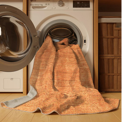 Janesia Performance Indoor Rug