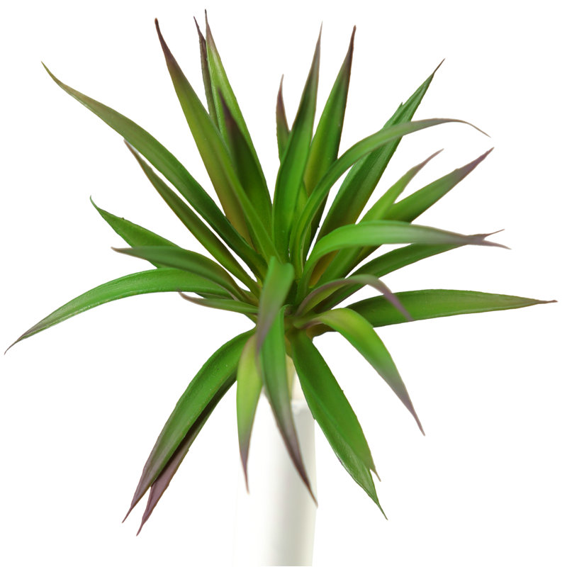 6'' Faux Succulent