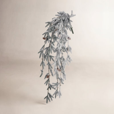 Naes Pine Cascade Bush Plant