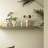 Eva Ceramic Pot Planter