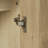 Accent Cabinet