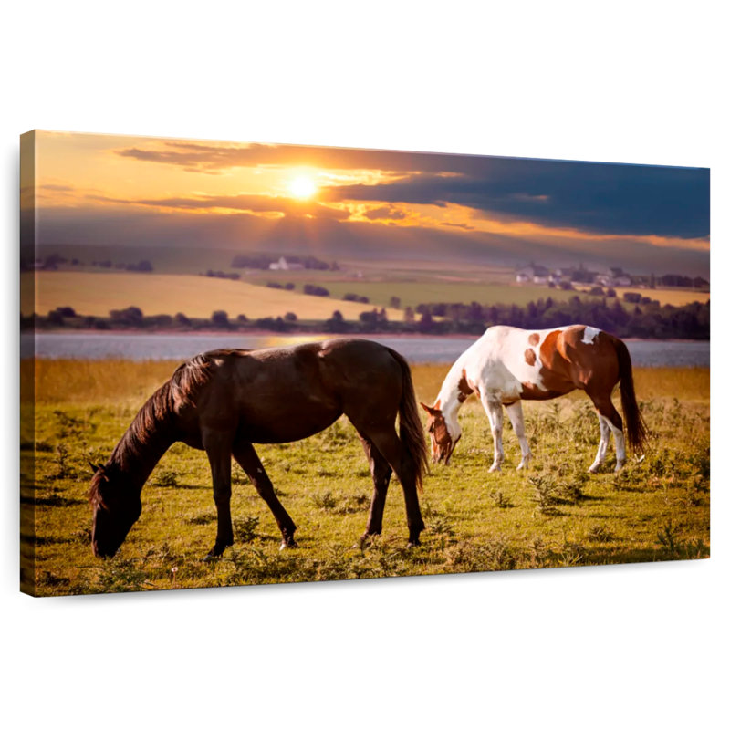 Brampt Horses On Pasture, 20" H x 30" W