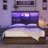 Bilal 51.2" Queen Size Bed Frame with Storage LED Bookcase Headboard&4 Storage Drawers,Brown-184046699-177877561
