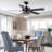 Eichen 52" Ceiling Fan with LED Lights