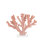 Coral Animals Decorative Object