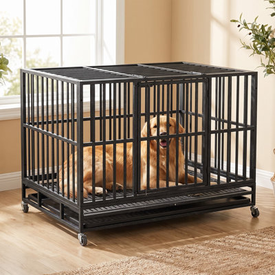 Cage pour chien robuste de 122 cm avec roulettes, utilisable à l'intérieur et à l'extérieur, avec verrous, anti-fugue, base renforcée supportant jusqu'à 113 kg, plateau amovible