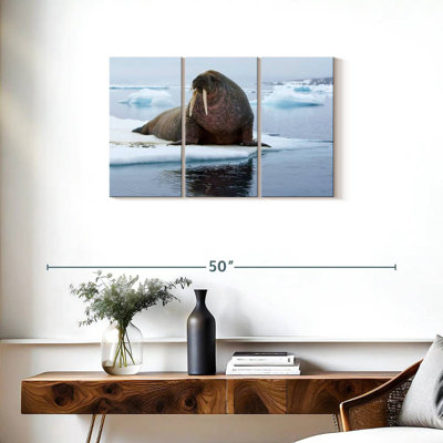 Walrus On Ice