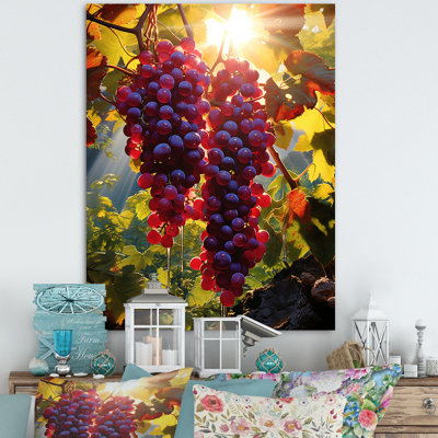 " Sunset On Vineyard In Rhones "