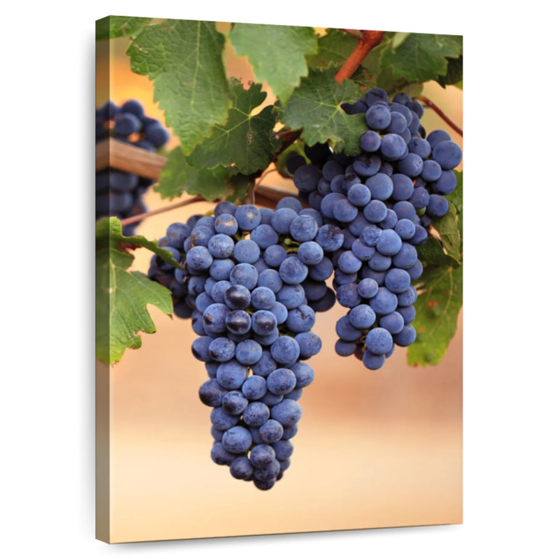 Yarlin raisins sur la vigne, H 24 po x l 16 po