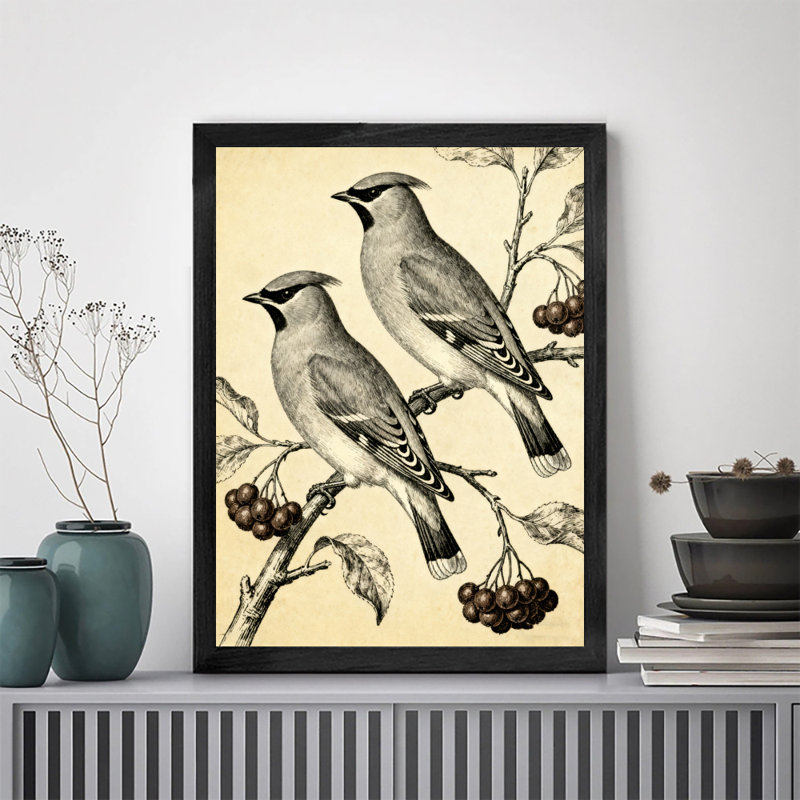 Encadré noir, beaux oiseaux, observateurs d'oiseaux, art mural, impressions rétro, H 11 po x l 9 po