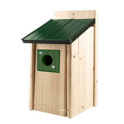 Mangeoire décorative pour oiseaux
