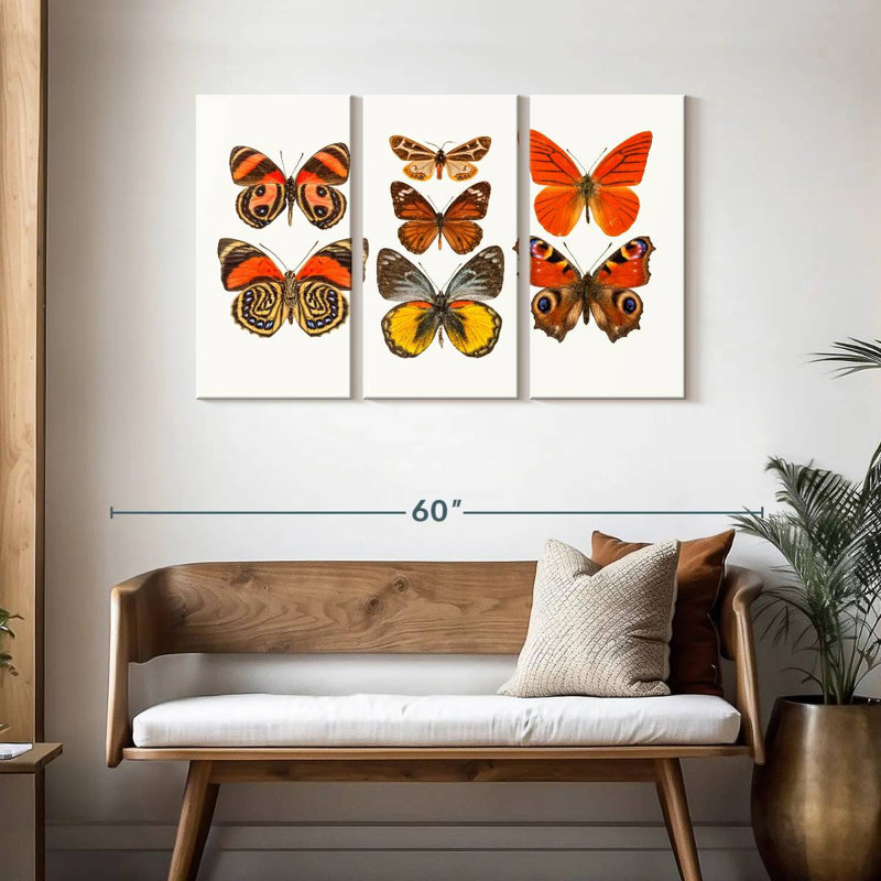 Collection de papillons oranges, H 28 po x l 45 po