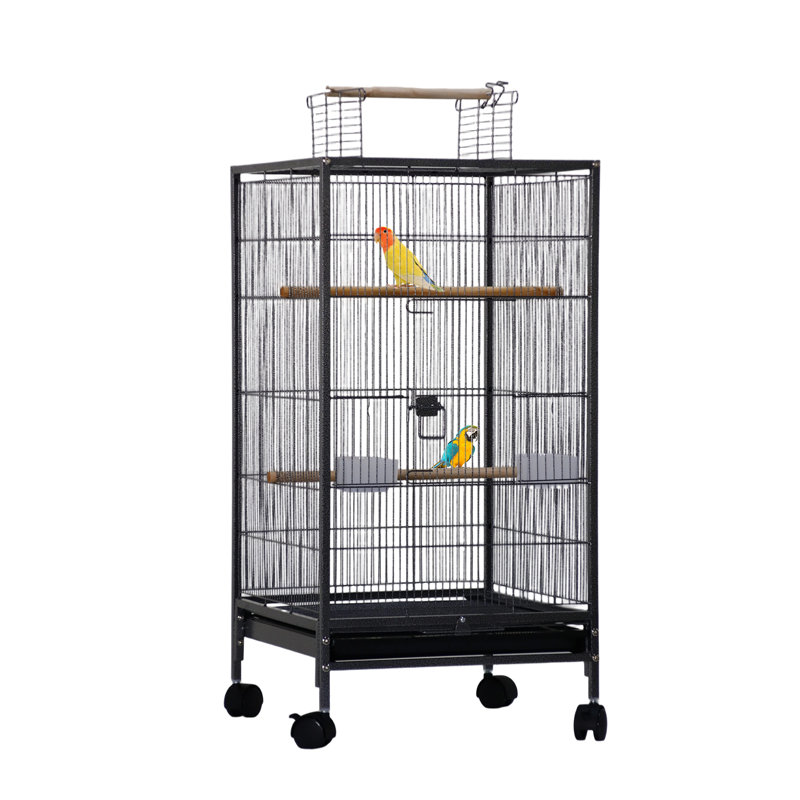 Grande cage à oiseaux sur pied 40 po, cage à perroquet en métal avec perchoirs en bois et plateau coulissant, cage à oiseaux avec bouteille d'eau et mangeoire pour perruche
