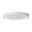 Ornate Carved White LED Flush Mount Light